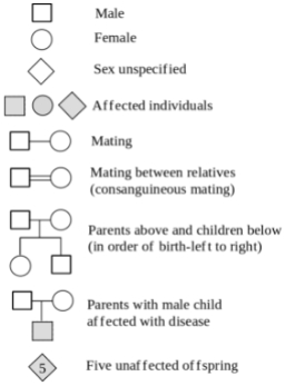 Solution diagram