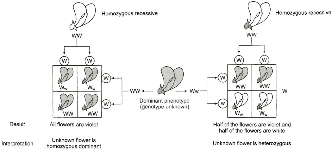 Solution diagram