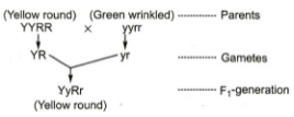 Solution diagram