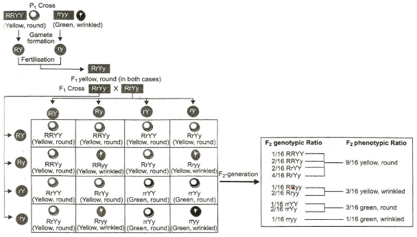 Solution diagram