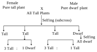 Solution diagram