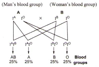 Solution diagram