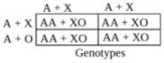 Solution diagram
