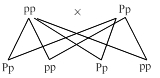 Solution diagram