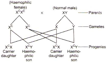 Solution diagram