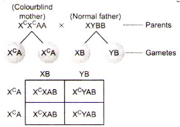 Solution diagram