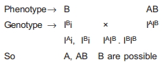Solution diagram