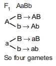 Solution diagram