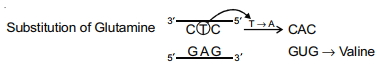Solution diagram