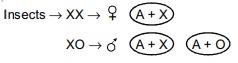 Solution diagram