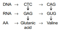 Solution diagram