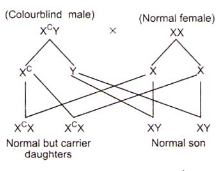 Solution diagram