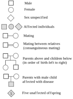 Solution diagram