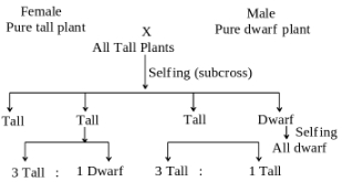 Solution diagram