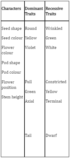 Solution diagram