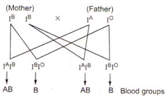 Solution diagram