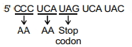Solution diagram