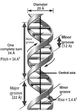 Solution diagram