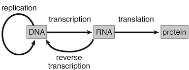 Solution diagram