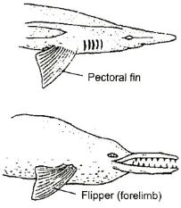 Question diagram