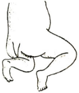 Question diagram