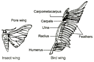 Solution diagram