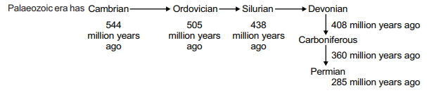 Solution diagram