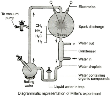 Solution diagram