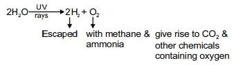 Solution diagram