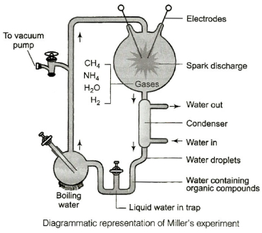 Solution diagram