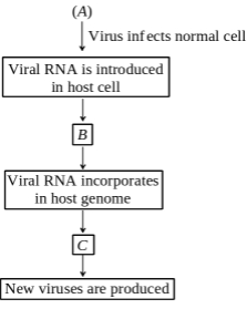 Question diagram