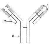 Question diagram