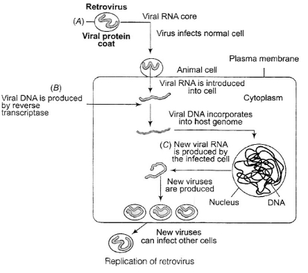 Solution diagram