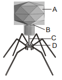 Question diagram