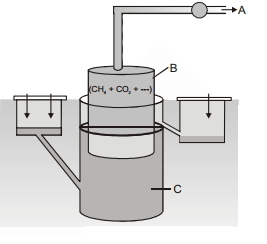Question diagram