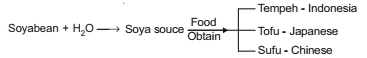 Solution diagram