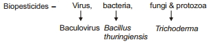 Solution diagram