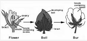 Solution diagram