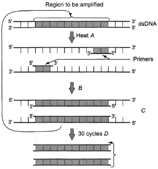 Question diagram