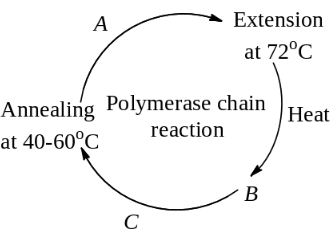 Question diagram