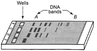 Question diagram