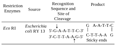 Solution diagram