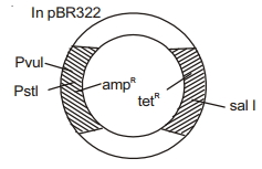 Solution diagram