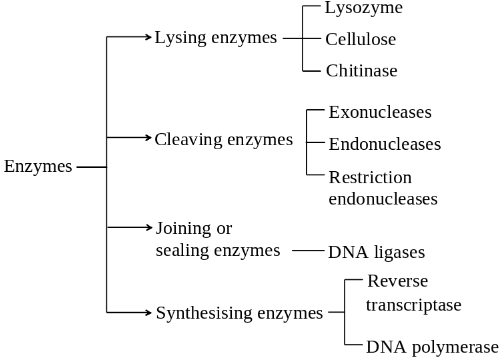 Solution diagram