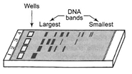 Solution diagram