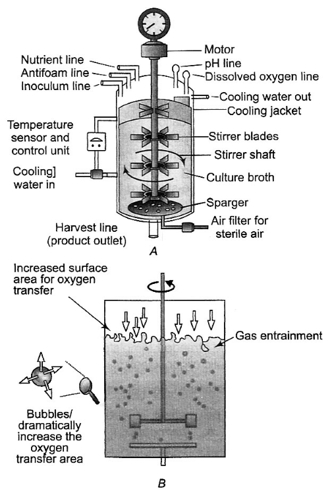 Solution diagram