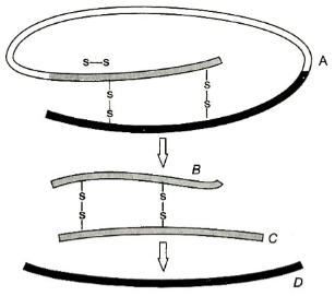 Question diagram