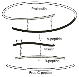 Solution diagram
