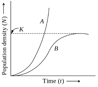 Question diagram
