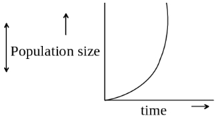 Question diagram